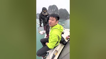 Hướng dẫ móc mồi câu cá Vàng Áng( Cá Vầu )