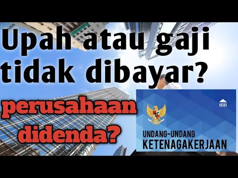 Video: Bagaimana Untuk Tidak Membayar Gaji CEO