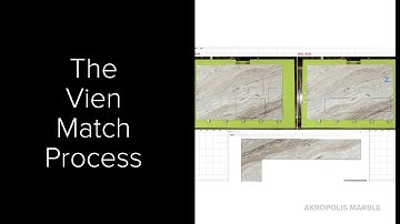 The Vein Match Process