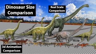 Dinosaur Size Comparison | 3D Animation Comparison | Real Scale Comparison | Data Chart