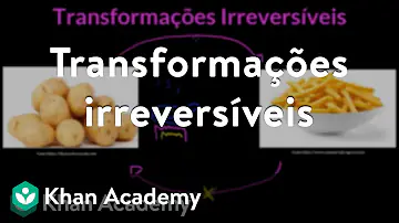 O que são transformações reversíveis e não reversíveis?