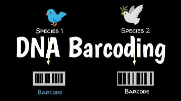What Is DNA Barcoding | How DNA Barcoding Works |