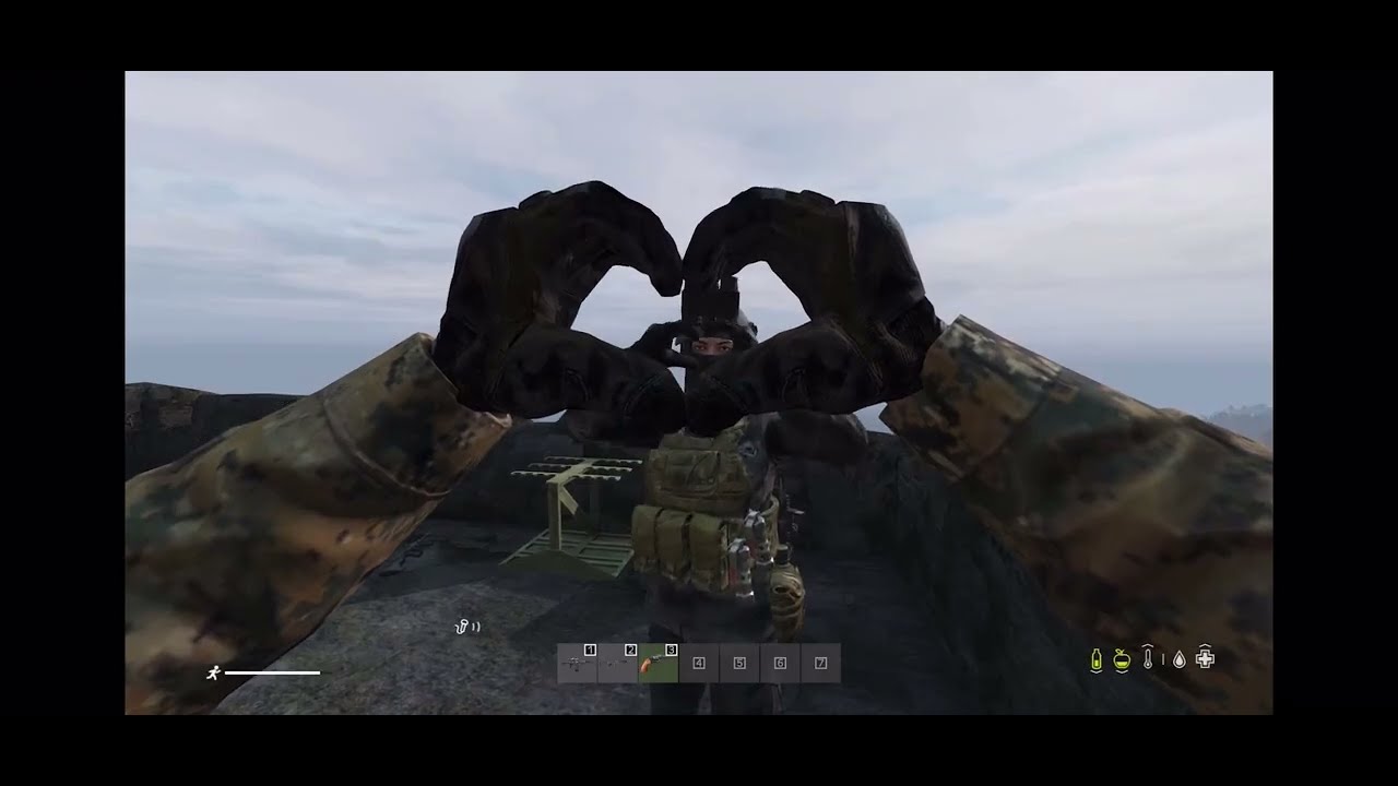 Dayz sussy
