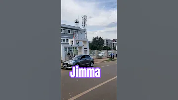 Jimma Jimma 