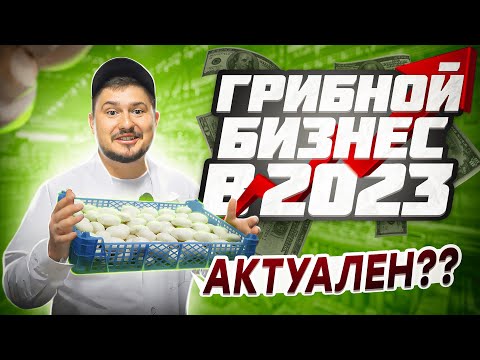 Бизнес на грибах в 2023 году: Возможности, прибыль и актуальность