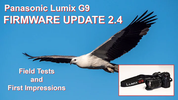 PANASONIC LUMIX G9: Firmware Update 2.4 Field Tests and First Impressions
