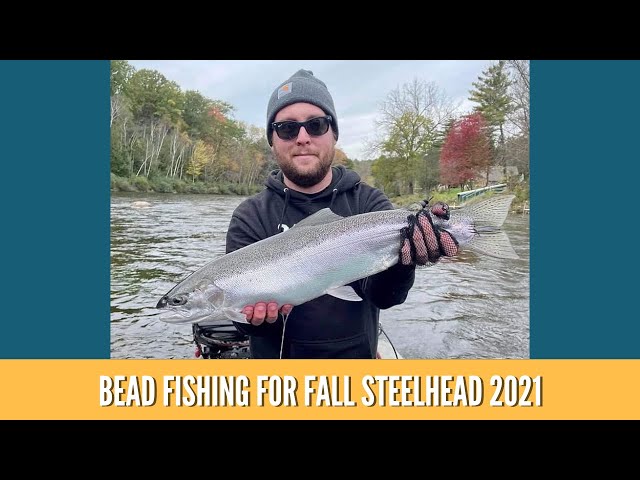 Bead Fishing For Fall Steelhead / River Fishing For Steelhead