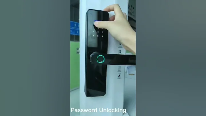 WiFi Smart Door Lock with Tuya APP Control - DayDayNews