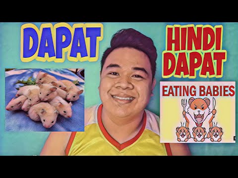 Video: Ano Ang Mga Mani Ng Hamsters?