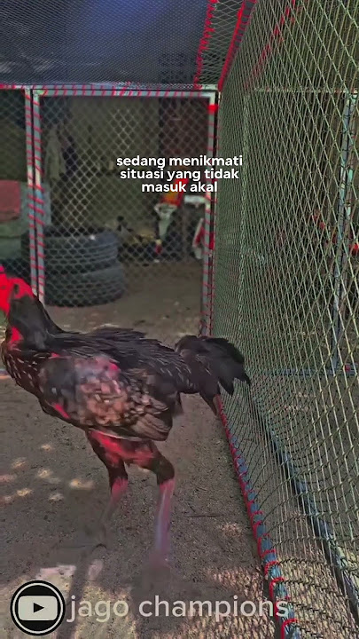 pusing