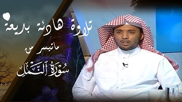 عمر النبراوي || تلاوة تأخذ بمجامع القلوب 🤍 ﴿ أَمَّن يُجِيبُ المُضطَرَّ إِذا دعَاهُ ويكْشفُ السُّوءَ﴾