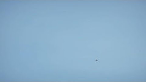 Hole in one!!! PGA TOUR 2K21