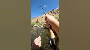 How To Fly Fish Fast Water with Nymphs