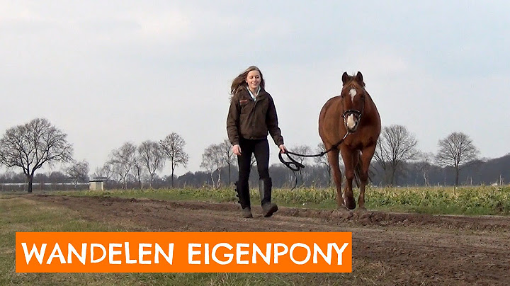 Een dagje op de manege #5 | Vlog
