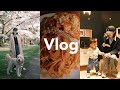 Vlog日常｜看樱花🌸 Costco每周补货 带娃去IKEA｜一周吃什么