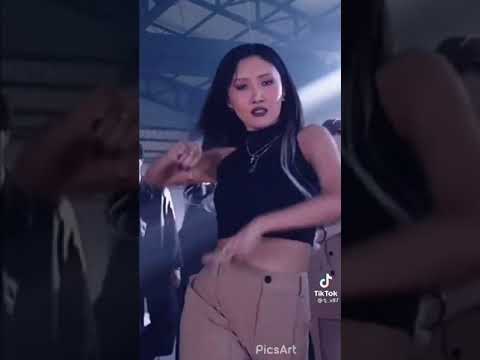 هواسا من فرقه مامامو 