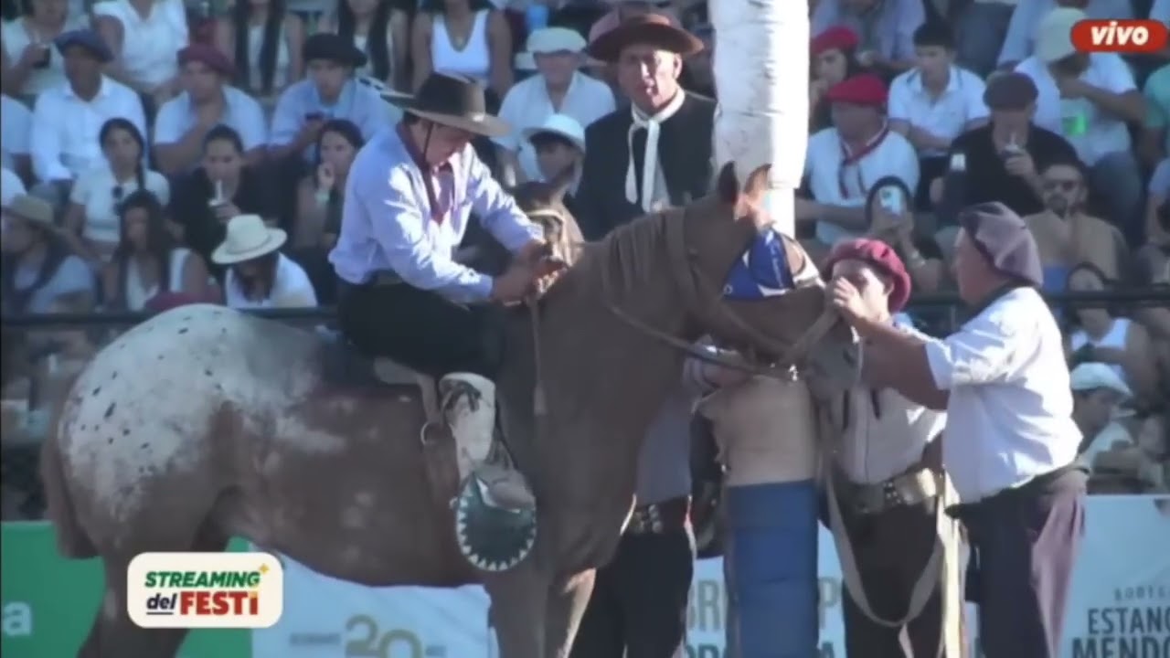 Campereando TV 2025 Programa Nº 44