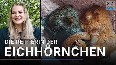 Was können Eichhörnchen für Krankheiten übertragen?