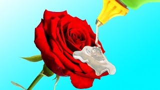 ２０のお花がテーマの裏技やDIYのアイデア
