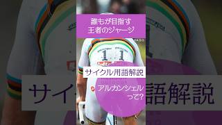 【サイクル基礎知識】「アルカンシェル」って?
