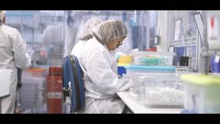 Clean Rooms - Micro's Capabilities
