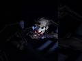 I Found A Bat I MiSide