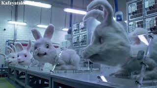 Save Ralph - Türkçe Dublaj