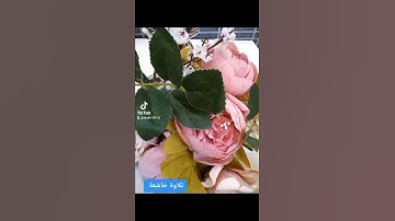 تلاوة خاشعة للشيخ فيصل غزاوي سورة الهمزة
