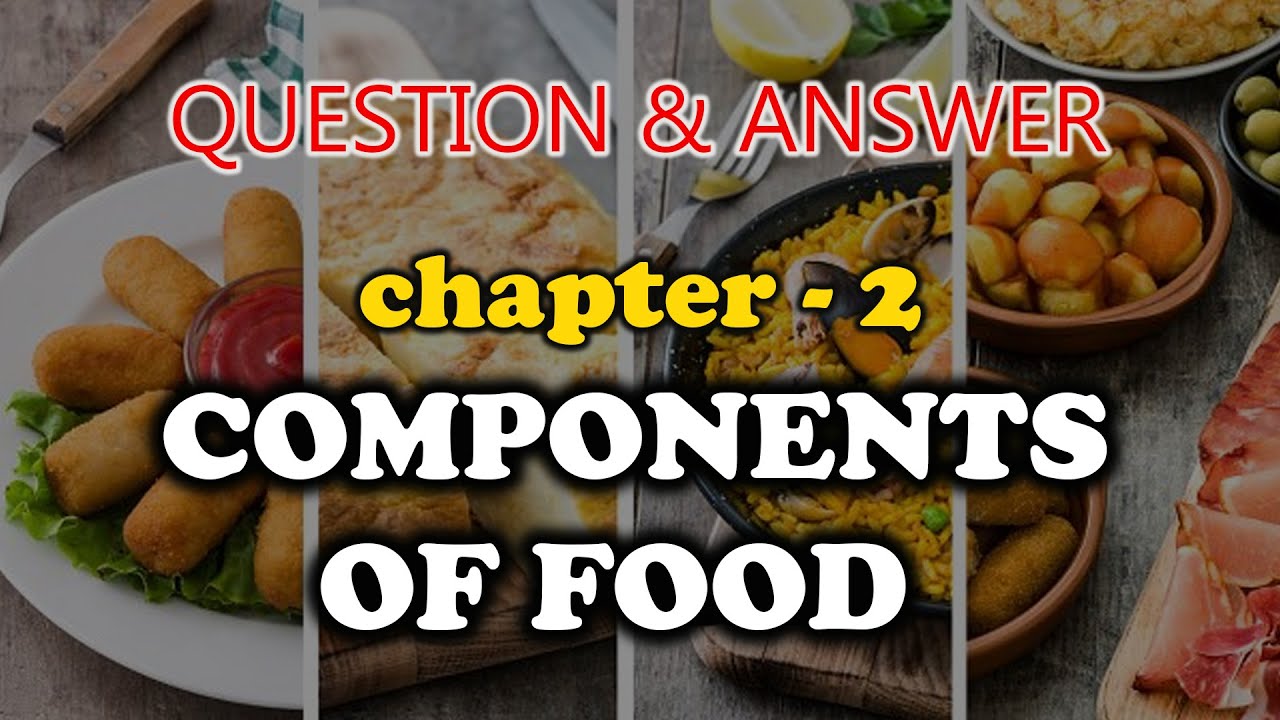 case study components of food class 6