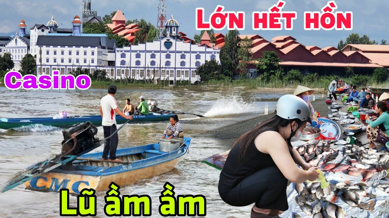 Lớn hết hồn khu ăn chơi bậc nhất Gò Tà Mâu Campuchia sợ ma - Cá đống đống chợ Châu Thạnh