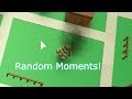 Roblox: Random Moments - Natural Disaster Survival -