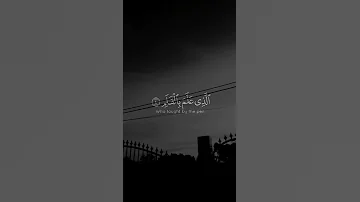 تلاوات خاشعة قرآن تلاوات هادئه تلاوات هادئة تريح الاعصاب تلاوات تلاوات جميلة قرآن هاديء Shorts 