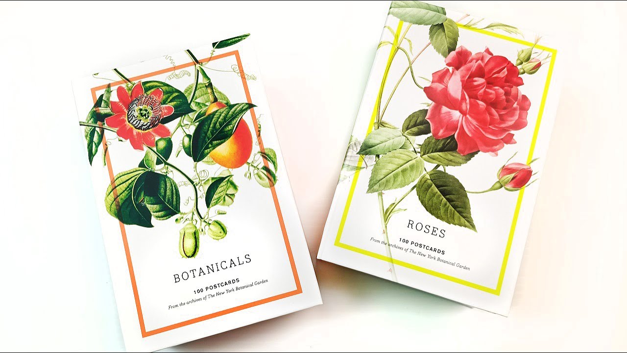 Beautiful Floral Postcards! Botanicals and Roses 100 Cards Review - Drawing & Painting Inspiration