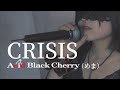 CRISIS/Acid Black Cherry【covered by めま】crisis / acid black cherry (mema)