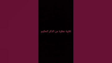 احترم القرآن الكريم #قرآن_كريم #اكسبلور #quran #قرآن #trending #tiktok #لايك #explore #palestine