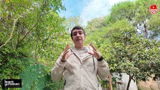 Levent Yurtseven Yapay Zeka Ile Uzaktan Gelir Elde Etmenin Yeni Yolu