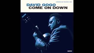 Video thumbnail of "David Gogo - So Into You"