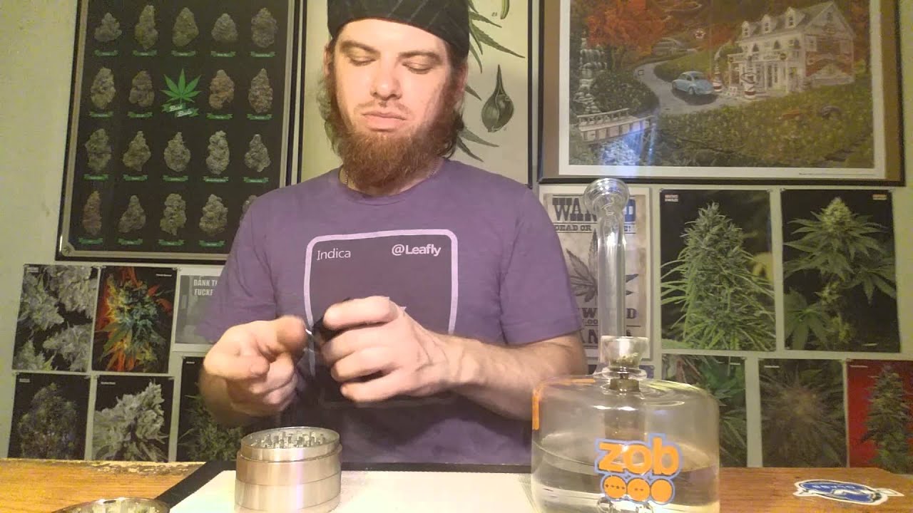 The High-Way: Gorilla Glue #4/ Skunkmasters