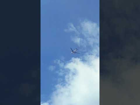 مسافر في الطريق وحدك