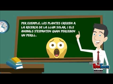 Vídeo: Com s'anomenen i classifiquen els organismes vius?