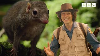 Smallest of the Small | Andy's Safari Adventures | Andy's Amazing Adventures