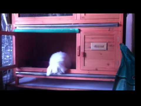 Flocon ouvre la porte