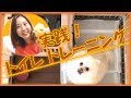 【トイレトレーニング】犬のしつけ実践動画！今回はトイレトレーニングです［ドッグトレーナー］