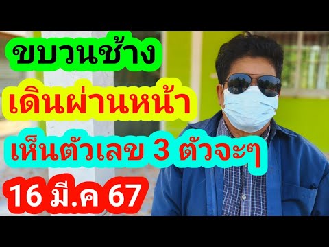 ผลสลากกินแบ่งรัฐบาล วันที่ 1 พย. 2567 ผลสลากกินแบ่งรัฐบาล วันที่ 1 พย. 2567