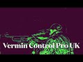 CZ 452 Varmint 22 Long rifle rabbit action VOL4