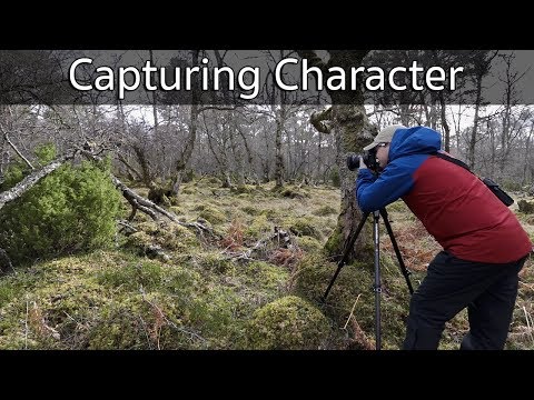 Capturing the Character