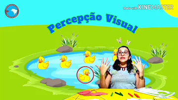 Qual o objetivo da percepção visual na educação infantil?