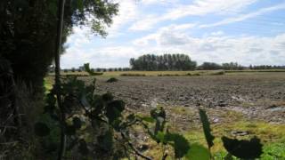 Psalm 104: 8, 9 en 10. Gemeentezang Katwijk GKv.