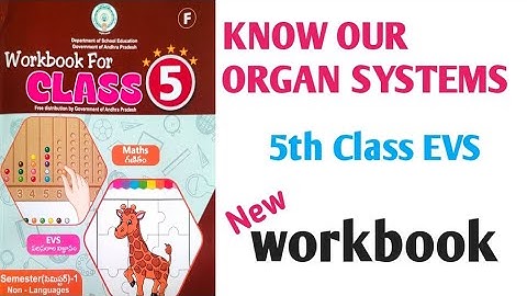 KNOW OUR ORGAN SYSTEMS 5th Class EVS workbook // worksheets