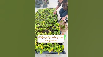 Nông cụ nông nghiệp Tháp Xanh, Công nghệ nông nghiệp, Thế giới Vật tư Máy móc